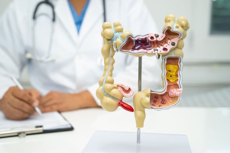 Patología gastrointestinal en Puebla